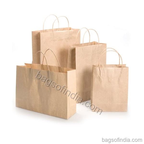 Brown Handmade Paper Carry Bag - Shopping Carry Bags in India