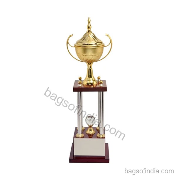 Cup Shaped Golden Trophy - Trophy And Momento in India